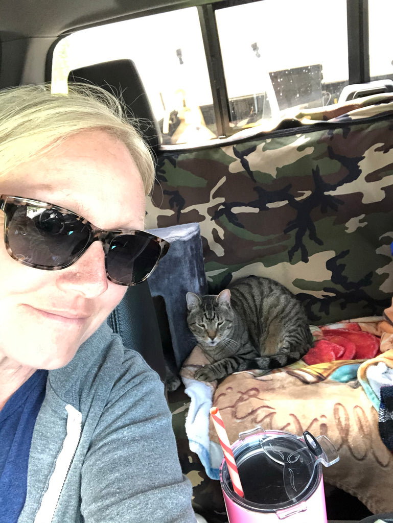 Traveling with a cat