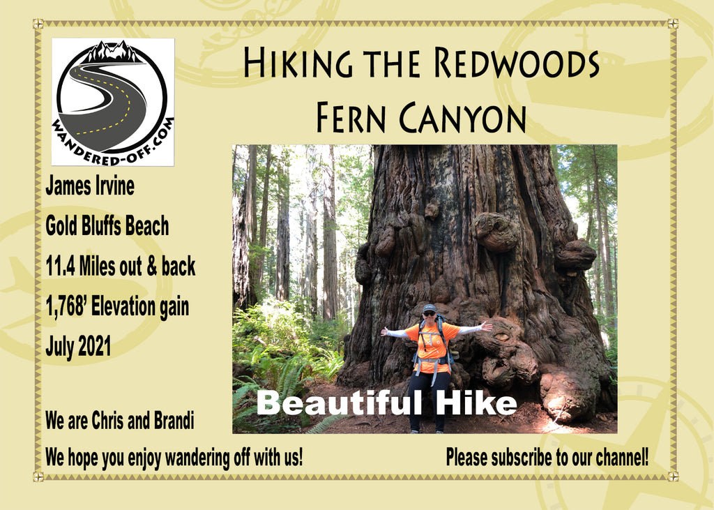 Hiking the Redwoods - James Irvine, Fern Canyon and Gold Bluffs Beach